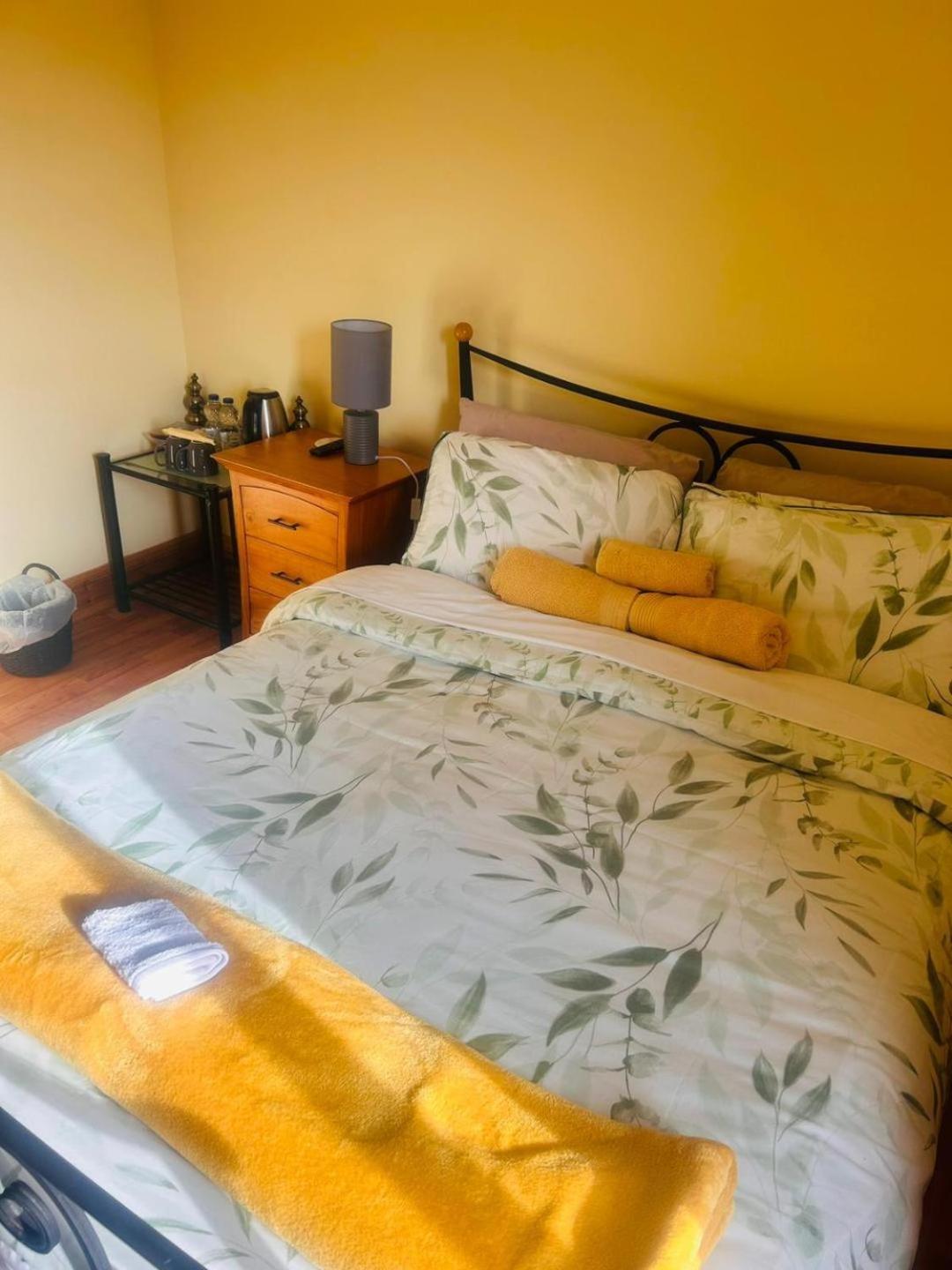 Ballytigue House Clarecastle Ngoại thất bức ảnh